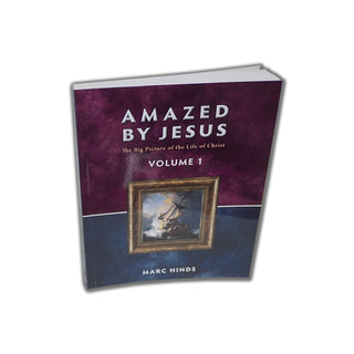 Amazed by Jesus, vol 1 - Spiritual Growth Books: Amazed by Jesus, vol 1 - Wholly Bible Study