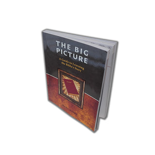 The Big Picture - Spiritual Growth Books: Amazed by Jesus, vol 1 - Wholly Bible Study